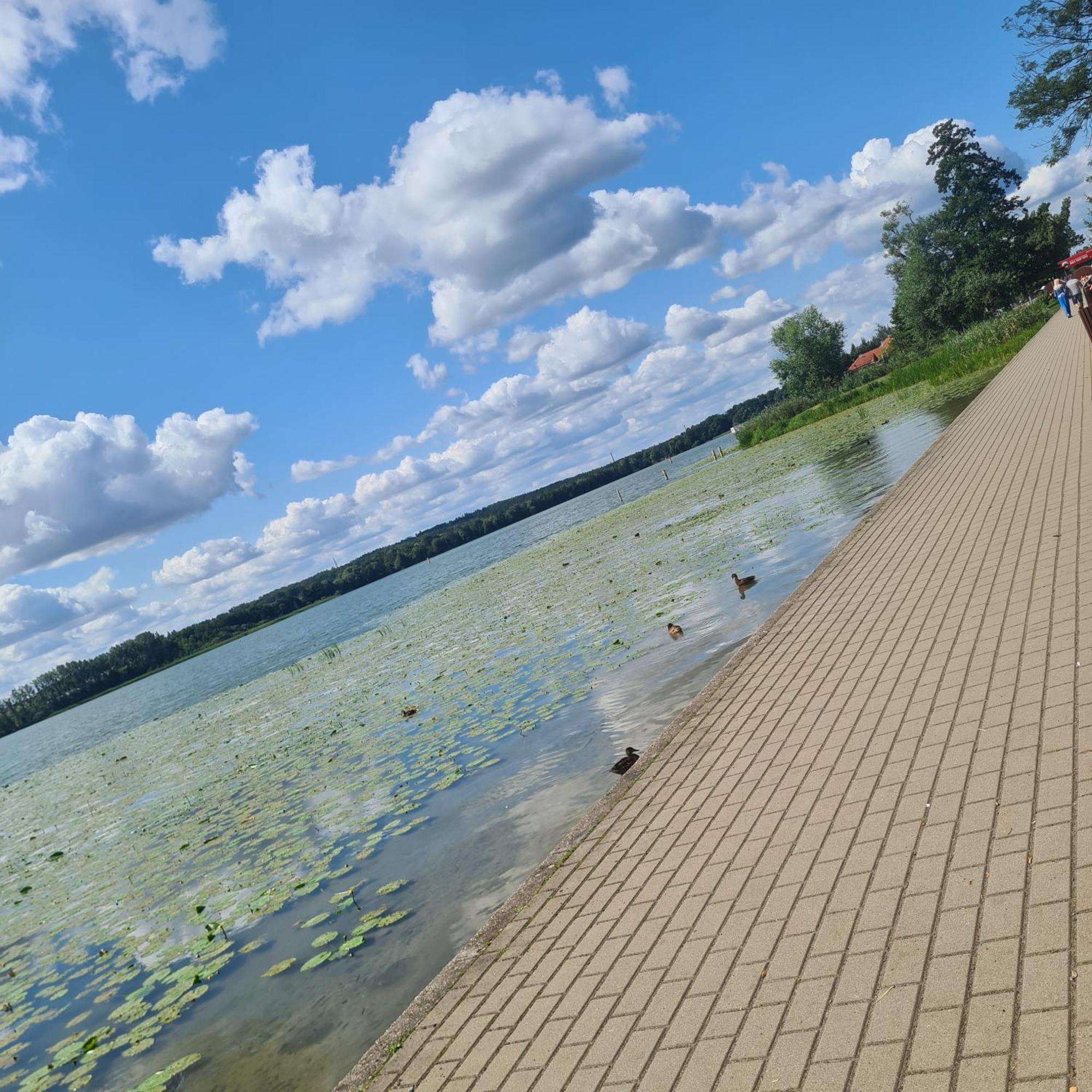 Apartament Villa Klar Ostróda Esterno foto